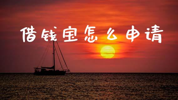 借钱宝怎么申请_https://wap.lcjysmgs.com_原油期货_第1张