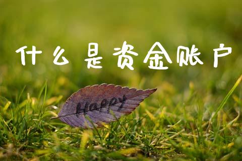 什么是资金账户_https://wap.lcjysmgs.com_债券基金_第1张