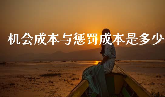 机会成本与惩罚成本是多少_https://wap.lcjysmgs.com_金融交易_第1张