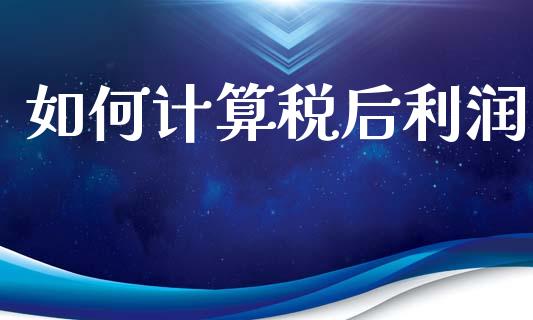 如何计算税后利润_https://wap.lcjysmgs.com_原油期货_第1张