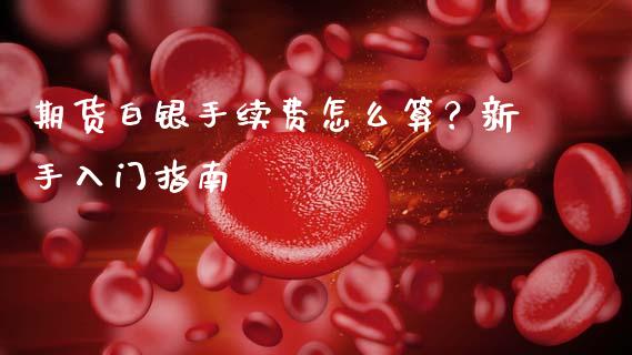 期货白银手续费怎么算？新手入门指南_https://wap.lcjysmgs.com_债券基金_第1张