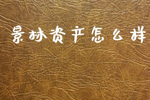 景林资产怎么样_https://wap.lcjysmgs.com_原油期货_第1张