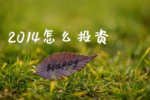 2014怎么投资_https://wap.lcjysmgs.com_原油期货_第1张