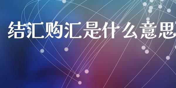 结汇购汇是什么意思_https://wap.lcjysmgs.com_债券基金_第1张