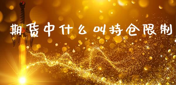 期货中什么叫持仓限制_https://wap.lcjysmgs.com_原油期货_第1张