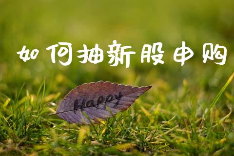 如何抽新股申购_https://wap.lcjysmgs.com_原油期货_第1张
