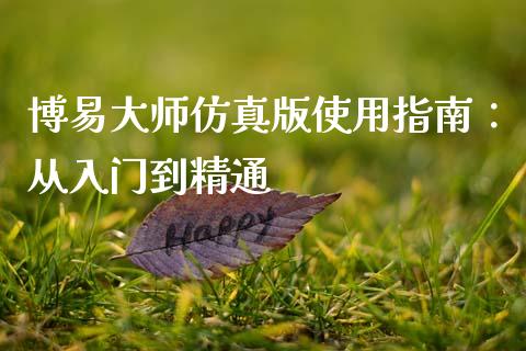 博易大师仿真版使用指南：从入门到精通_https://wap.lcjysmgs.com_元宇宙_第1张