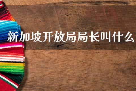 新加坡开放局局长叫什么_https://wap.lcjysmgs.com_金融交易_第1张
