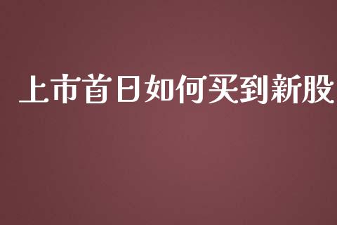 上市首日如何买到新股_https://wap.lcjysmgs.com_原油期货_第1张
