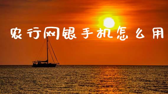 农行网银手机怎么用_https://wap.lcjysmgs.com_原油期货_第1张
