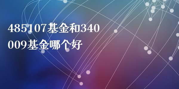 485107基金和340009基金哪个好_https://wap.lcjysmgs.com_元宇宙_第1张