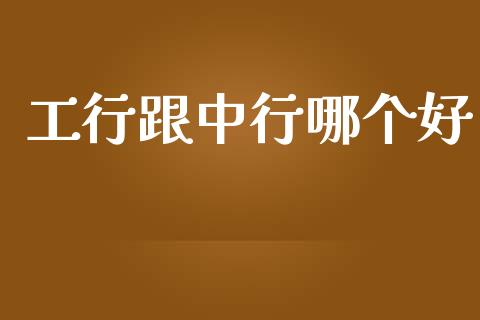工行跟中行哪个好_https://wap.lcjysmgs.com_金融交易_第1张