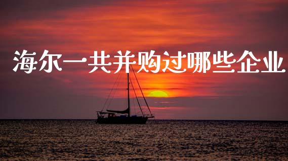 海尔一共并购过哪些企业_https://wap.lcjysmgs.com_原油期货_第1张
