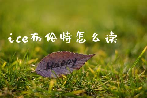 ice布伦特怎么读_https://wap.lcjysmgs.com_债券基金_第1张
