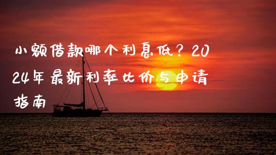 小额借款哪个利息低？2024年最新利率比价与申请指南_https://wap.lcjysmgs.com_债券基金_第1张