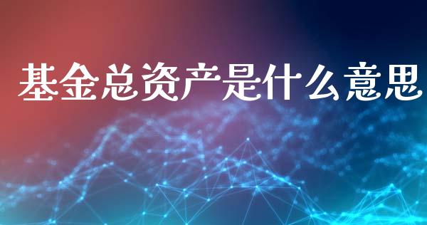 基金总资产是什么意思_https://wap.lcjysmgs.com_债券基金_第1张