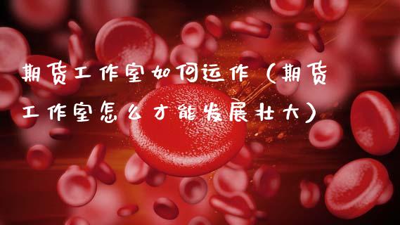 期货工作室如何运作（期货工作室怎么才能发展壮大）_https://wap.lcjysmgs.com_原油期货_第1张