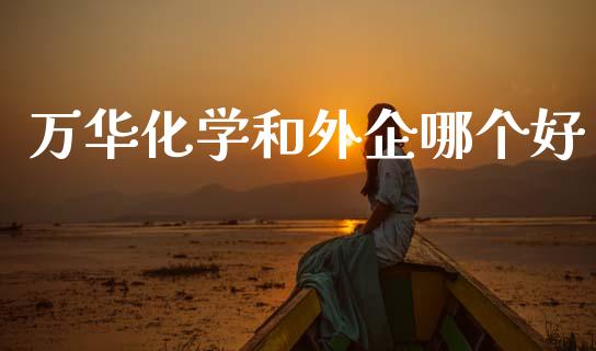 万华化学和外企哪个好_https://wap.lcjysmgs.com_金融交易_第1张