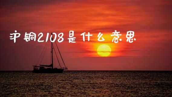 沪铜2108是什么意思_https://wap.lcjysmgs.com_金融交易_第1张