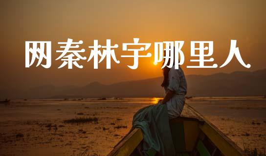 网秦林宇哪里人_https://wap.lcjysmgs.com_债券基金_第1张