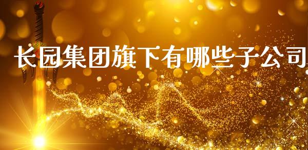 长园集团旗下有哪些子公司_https://wap.lcjysmgs.com_金融交易_第1张
