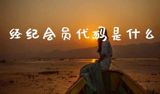 经纪会员代码是什么_https://wap.lcjysmgs.com_债券基金_第1张