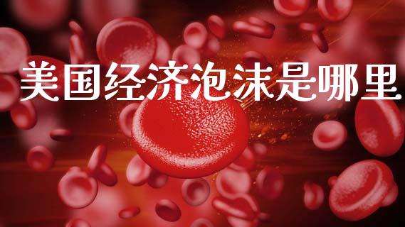 美国经济泡沫是哪里_https://wap.lcjysmgs.com_金融交易_第1张