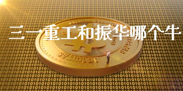 三一重工和振华哪个牛_https://wap.lcjysmgs.com_元宇宙_第1张