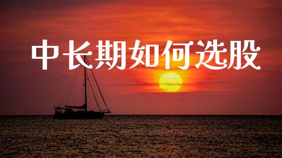 中长期如何选股_https://wap.lcjysmgs.com_金融交易_第1张