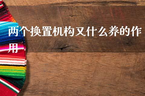 两个换置机构又什么养的作用_https://wap.lcjysmgs.com_债券基金_第1张