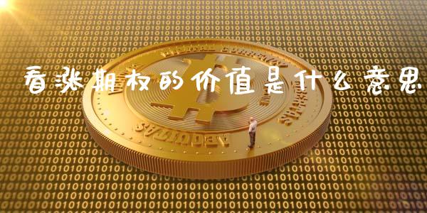 看涨期权的价值是什么意思_https://wap.lcjysmgs.com_元宇宙_第1张