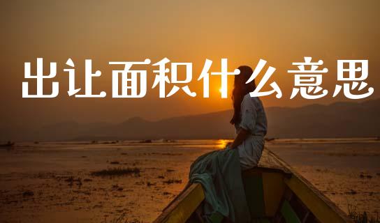 出让面积什么意思_https://wap.lcjysmgs.com_元宇宙_第1张