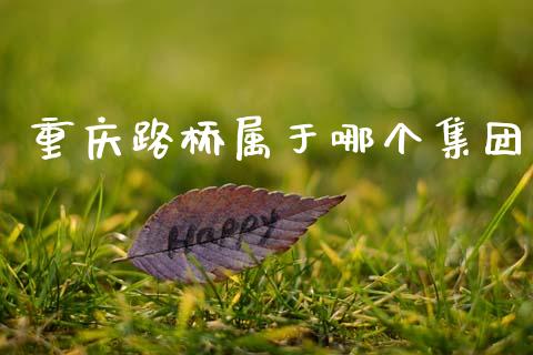 重庆路桥属于哪个集团_https://wap.lcjysmgs.com_原油期货_第1张