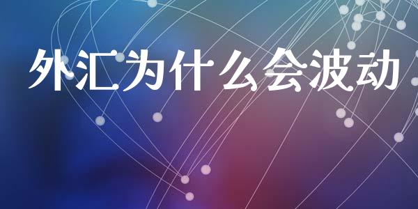 外汇为什么会波动_https://wap.lcjysmgs.com_元宇宙_第1张