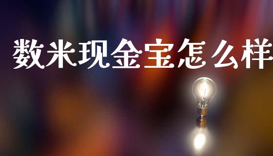数米现金宝怎么样_https://wap.lcjysmgs.com_元宇宙_第1张