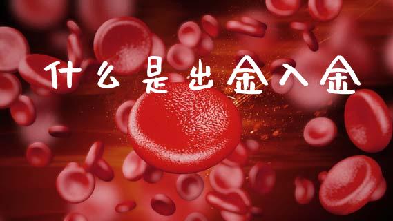 什么是出金入金_https://wap.lcjysmgs.com_元宇宙_第1张