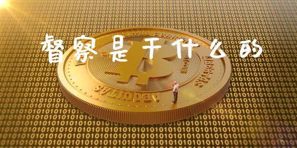督察是干什么的_https://wap.lcjysmgs.com_金融交易_第1张