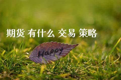 期货 有什么 交易 策略_https://wap.lcjysmgs.com_债券基金_第1张