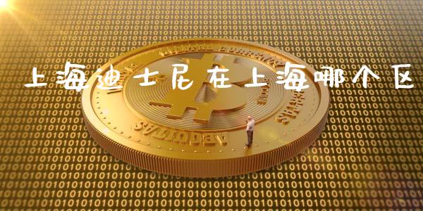 上海迪士尼在上海哪个区_https://wap.lcjysmgs.com_金融交易_第1张