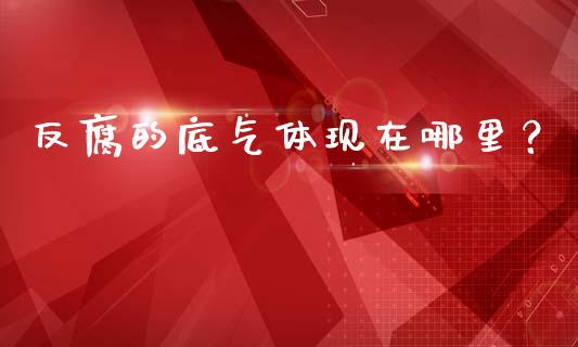 反腐的底气体现在哪里？_https://wap.lcjysmgs.com_元宇宙_第1张