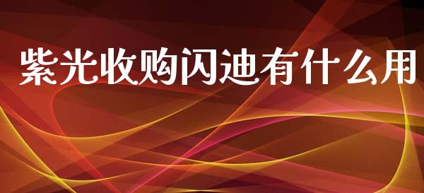 紫光收购闪迪有什么用_https://wap.lcjysmgs.com_元宇宙_第1张