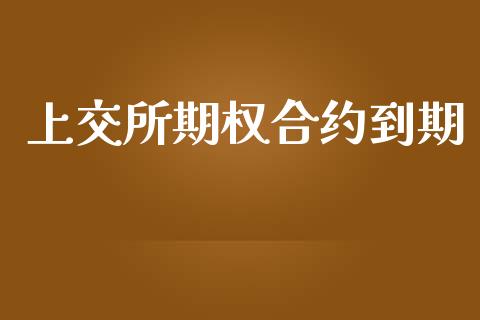 上交所期权合约到期_https://wap.lcjysmgs.com_金融交易_第1张