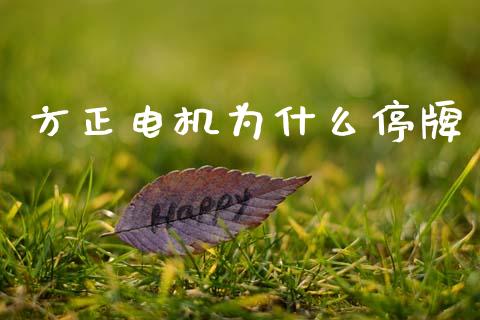 方正电机为什么停牌_https://wap.lcjysmgs.com_原油期货_第1张