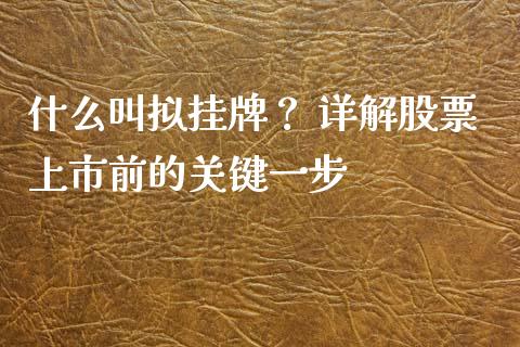 什么叫拟挂牌？ 详解股票上市前的关键一步_https://wap.lcjysmgs.com_金融交易_第1张