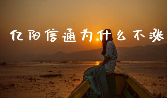 亿阳信通为什么不涨_https://wap.lcjysmgs.com_债券基金_第1张