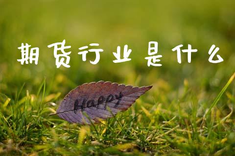 期货行业是什么_https://wap.lcjysmgs.com_金融交易_第1张