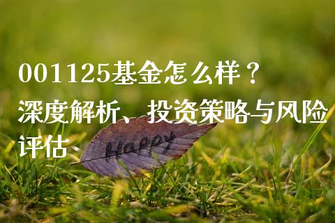 001125基金怎么样？深度解析、投资策略与风险评估_https://wap.lcjysmgs.com_原油期货_第1张