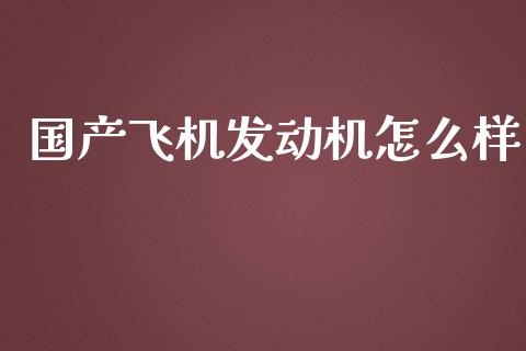 国产飞机发动机怎么样_https://wap.lcjysmgs.com_债券基金_第1张