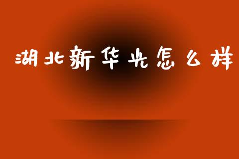 湖北新华光怎么样_https://wap.lcjysmgs.com_债券基金_第1张