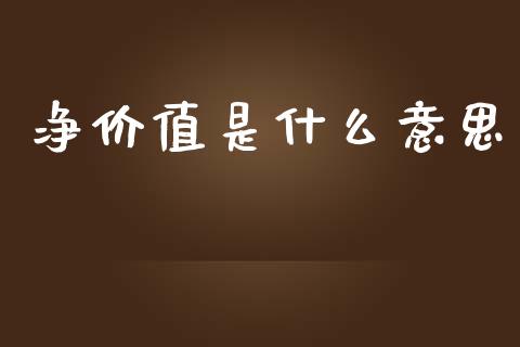 净价值是什么意思_https://wap.lcjysmgs.com_元宇宙_第1张